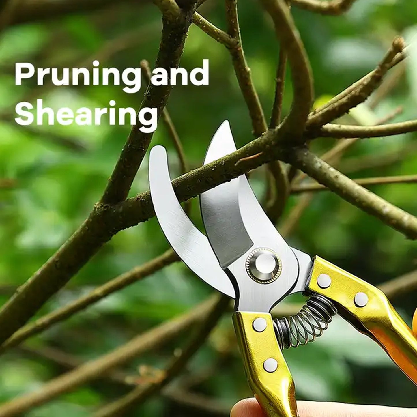 Tools - Garden Shears Pruners Scissor (1 Pc)                                         Gardening